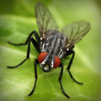 /album/reidysphismima/photolia-a01-jpg/