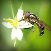 /album/reidysphismima/photolia-a02-jpg/