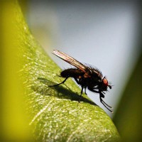 /album/reidysphismima/photolia-a04-jpg/
