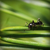 /album/reidysphismima/photolia-a05-jpg/