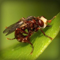 /album/reidysphismima/photolia-a06-jpg/