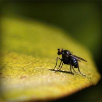 /album/reidysphismima/photolia-a07-jpg/