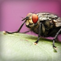 /album/reidysphismima/photolia-a08-jpg/